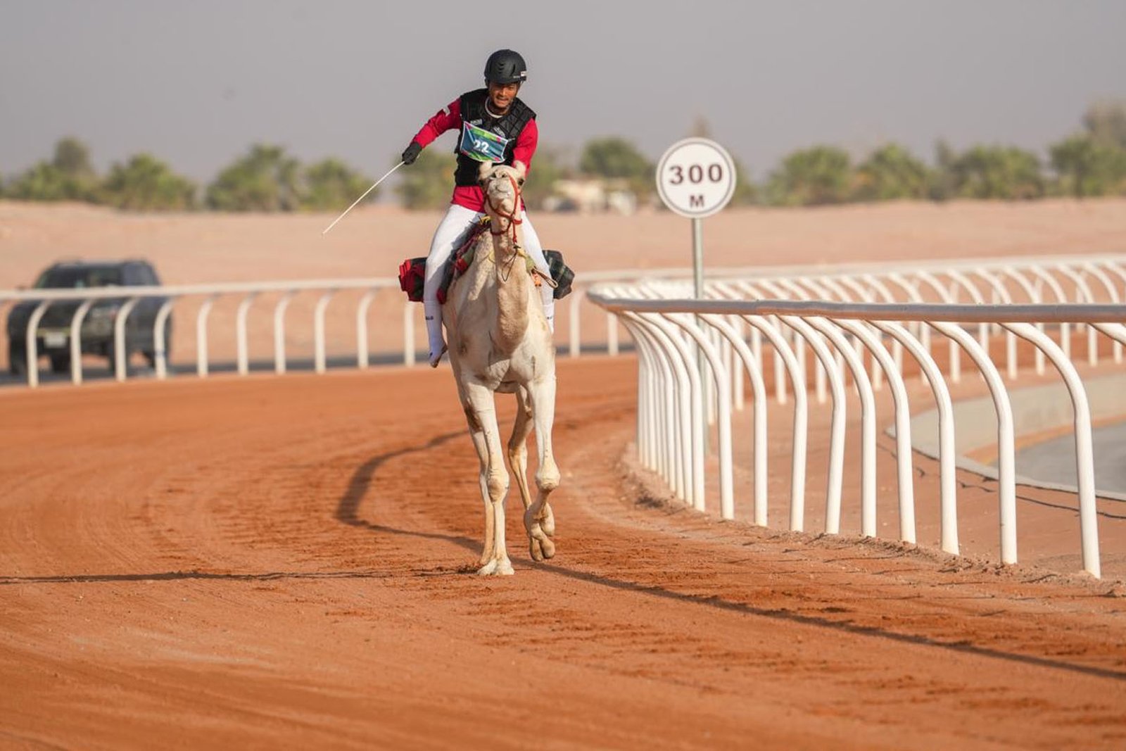 Islamic Solidarity Games 2025 Muhammad Ikhwanuddin Reaches Top 10 in Camel Race Final