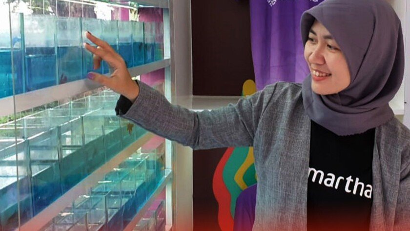 Karena Piala Dunia U-17, Bisnis Ikan Cupang Ikut Terdongkrak - iMSPORT.TV