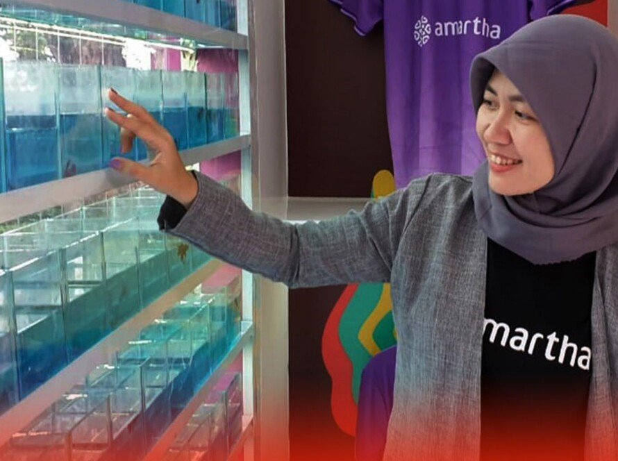 Karena Piala Dunia U-17, Bisnis Ikan Cupang Ikut Terdongkrak - iMSPORT.TV