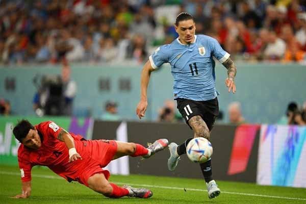 Mampukah Darwin Nunez menjadi Tumpuan Uruguay dan Liverpool - iMSPORT.TV