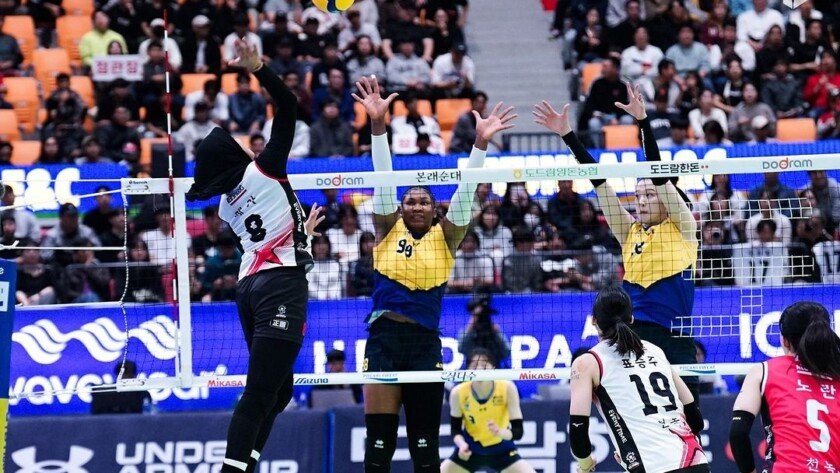 Megawati Main! Ini Link Nonton Red Spark vs Pink Spiders - iMSPORT.TV