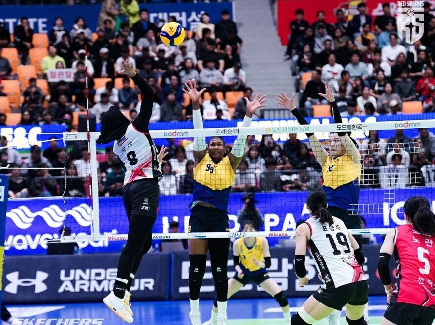 Megawati Main! Ini Link Nonton Red Spark vs Pink Spiders - iMSPORT.TV