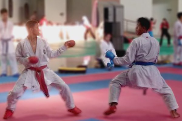 Sulteng Bidik Enam Emas Karate di PON Papua - iMSPORT
