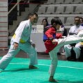 Kejuaraan Pencak Silat Piala Presiden 2026, Ada Peraturan Baru