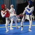 Perkasa! Indonesia Pimpin Klasemen 8th Asian Taekwondo Indonesia Open Championship 2026